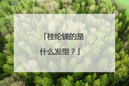 桂纶镁的是什么发型？