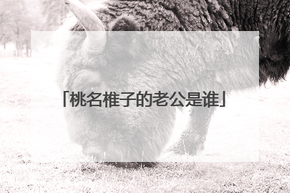 桃名椎子的老公是谁