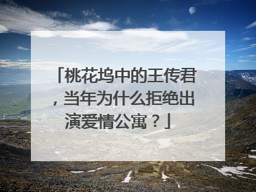 桃花坞中的王传君，当年为什么拒绝出演爱情公寓？