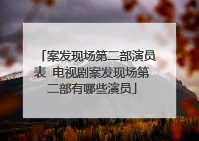 案发现场第二部演员表 电视剧案发现场第二部有哪些演员