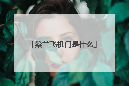 桑兰飞机门是什么