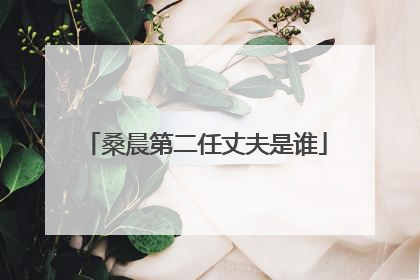 桑晨第二任丈夫是谁
