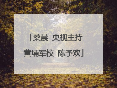 桑晨 央视主持 黄埔军校 陈予欢