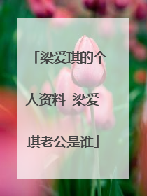 梁爱琪的个人资料 梁爱琪老公是谁