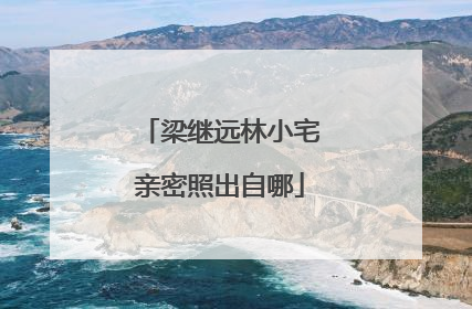 梁继远林小宅亲密照出自哪