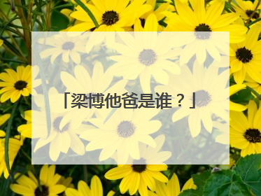 梁博他爸是谁？