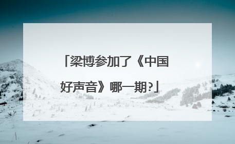 梁博参加了《中国好声音》哪一期?