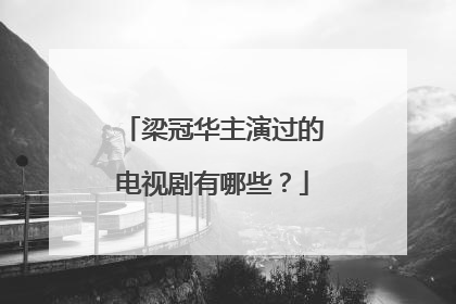 梁冠华主演过的电视剧有哪些？