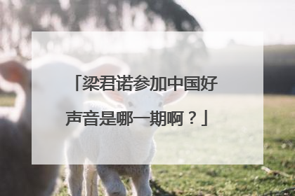 梁君诺参加中国好声音是哪一期啊?