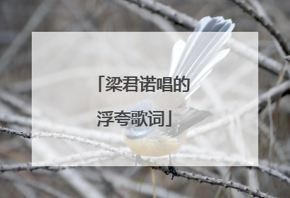 梁君诺唱的浮夸歌词