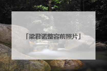 梁君诺整容前照片