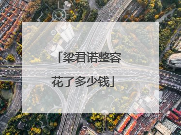 梁君诺整容花了多少钱