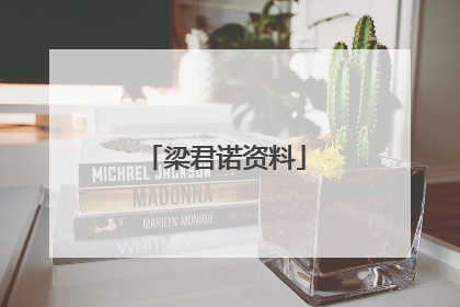 梁君诺资料