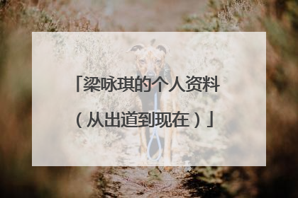 梁咏琪的个人资料(从出道到现在)