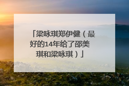 梁咏琪郑伊健（最好的14年给了邵美琪和梁咏琪）