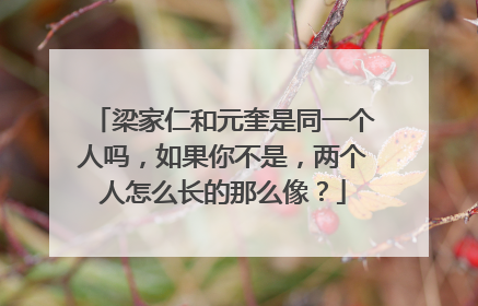 梁家仁和元奎是同一个人吗,如果你不是,两个人怎么长的那么像?