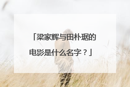 梁家辉与田朴琚的电影是什么名字？