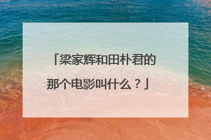 梁家辉和田朴君的那个电影叫什么？