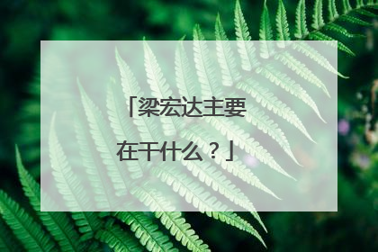 梁宏达主要在干什么？