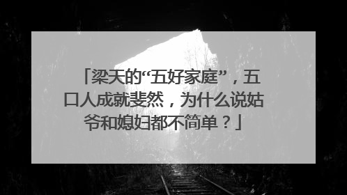 梁天的“五好家庭”,五口人成就斐然,为什么说姑爷和媳妇都不简单?