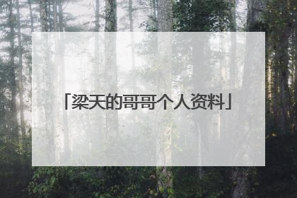 梁天的哥哥个人资料