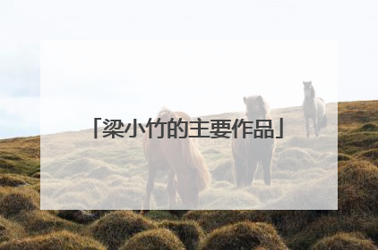 梁小竹的主要作品