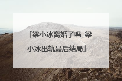 梁小冰离婚了吗 梁小冰出轨最后结局