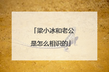 梁小冰和老公是怎么相识的