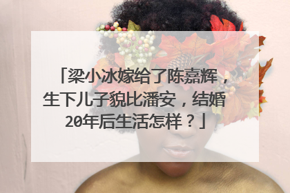 梁小冰嫁给了陈嘉辉,生下儿子貌比潘安,结婚20年后生活怎样?