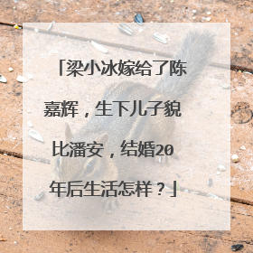 梁小冰嫁给了陈嘉辉，生下儿子貌比潘安，结婚20年后生活怎样？