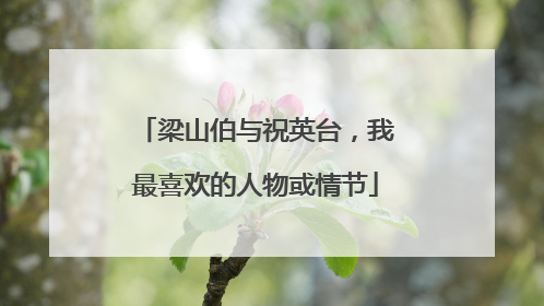 梁山伯与祝英台,我最喜欢的人物或情节