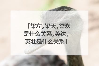 梁左,梁天,梁欢是什么关系,英达,英壮是什么关系