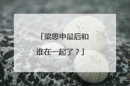 梁思申最后和谁在一起了?