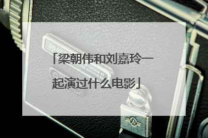 梁朝伟和刘嘉玲一起演过什么电影