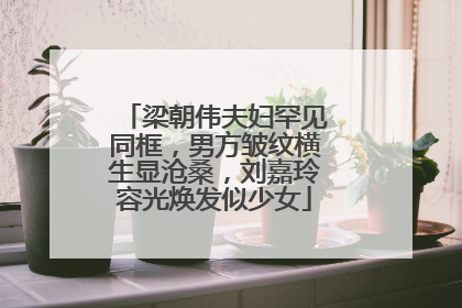 梁朝伟夫妇罕见同框,男方皱纹横生显沧桑,刘嘉玲容光焕发似少女