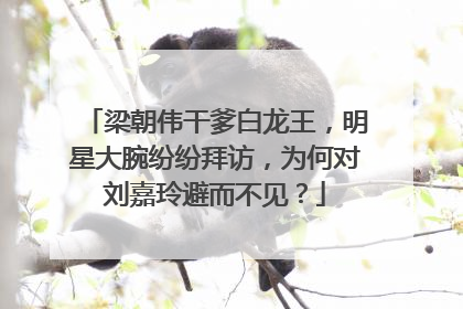 梁朝伟干爹白龙王，明星大腕纷纷拜访，为何对刘嘉玲避而不见？