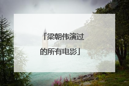 梁朝伟演过的所有电影