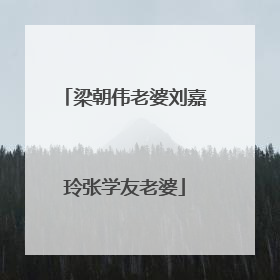 梁朝伟老婆刘嘉玲张学友老婆