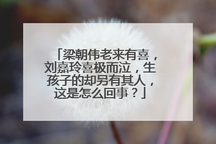 梁朝伟老来有喜,刘嘉玲喜极而泣,生孩子的却另有其人,这是怎么回事?