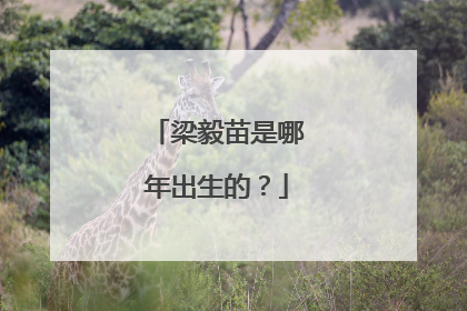 梁毅苗是哪年出生的?