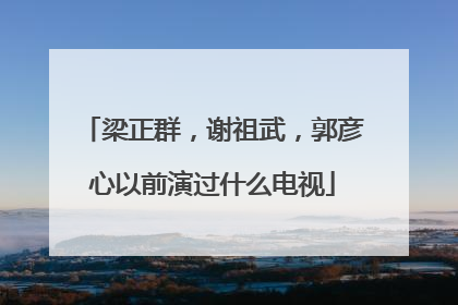 梁正群,谢祖武,郭彦心以前演过什么电视