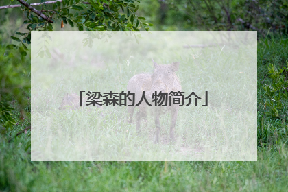 梁森的人物简介