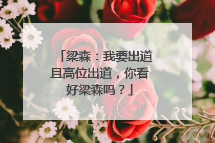 梁森：我要出道且高位出道，你看好梁森吗？