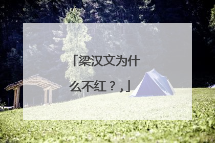 梁汉文为什么不红？,