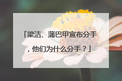 梁洁、蒲巴甲宣布分手,他们为什么分手?
