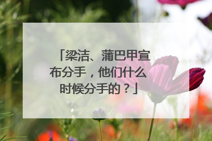梁洁、蒲巴甲宣布分手,他们什么时候分手的?