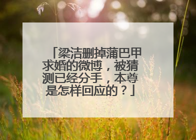 梁洁删掉蒲巴甲求婚的微博,被猜测已经分手,本尊是怎样回应的?