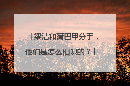 梁洁和蒲巴甲分手,他们是怎么相识的?