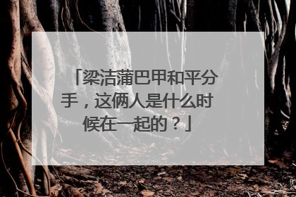 梁洁蒲巴甲和平分手,这俩人是什么时候在一起的?