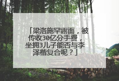 梁洛施罕露面，被传收30亿分手费，坐拥3儿子能否与李泽楷复合呢？